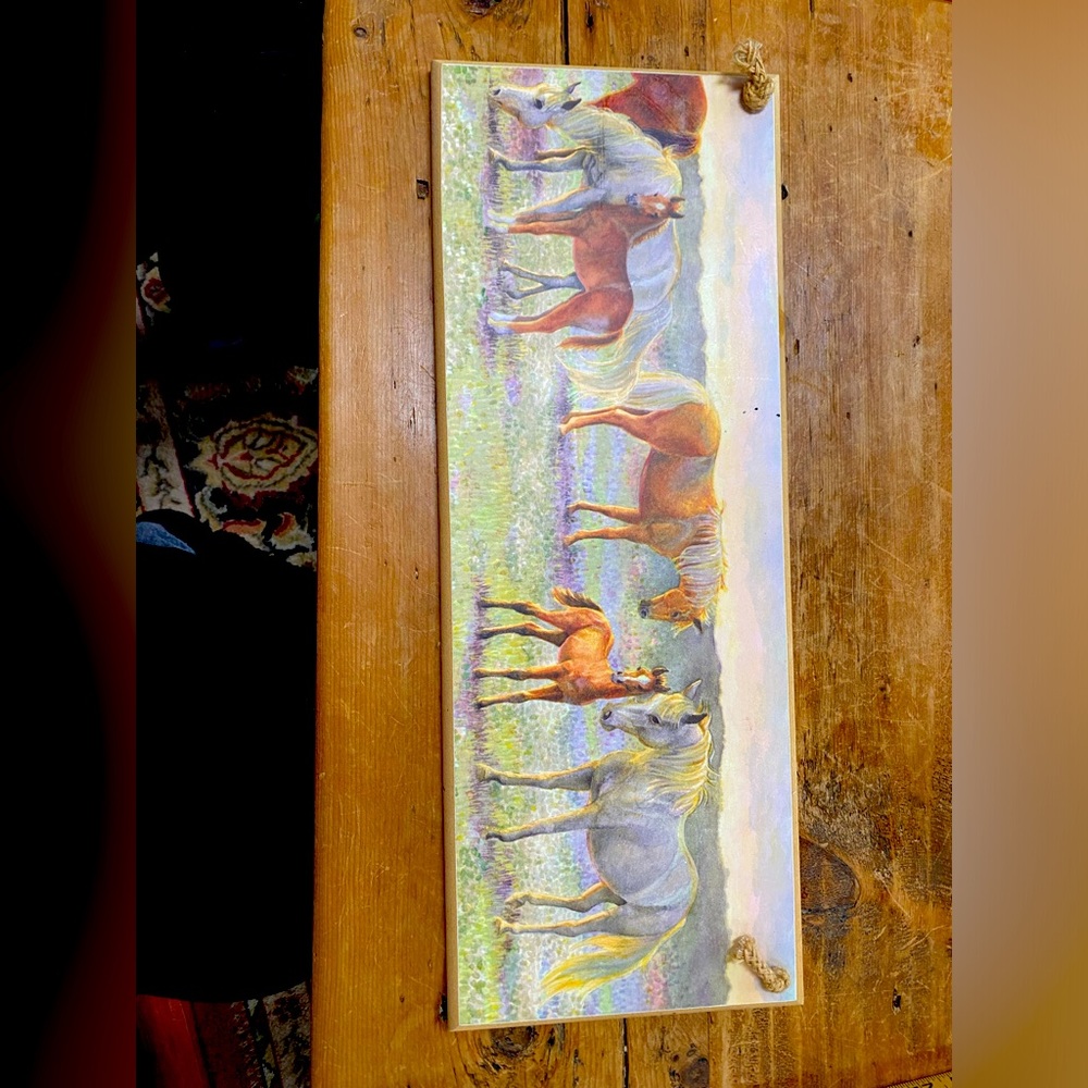Horse/pony plaque.  20” wide and 5” tall. Very pretty decoration for horse lover